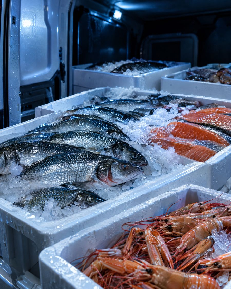 Fresh sea bass, salmon and langoustines on crushed ice in fish boxes